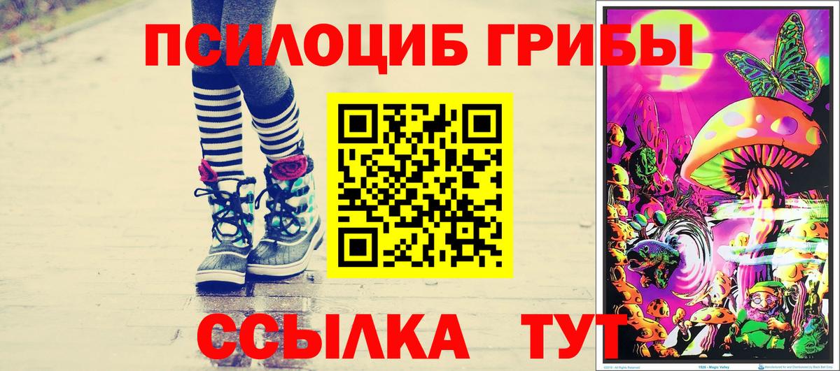 Псилоцибиновые грибы MAGIC MUSHROOMS Королёв