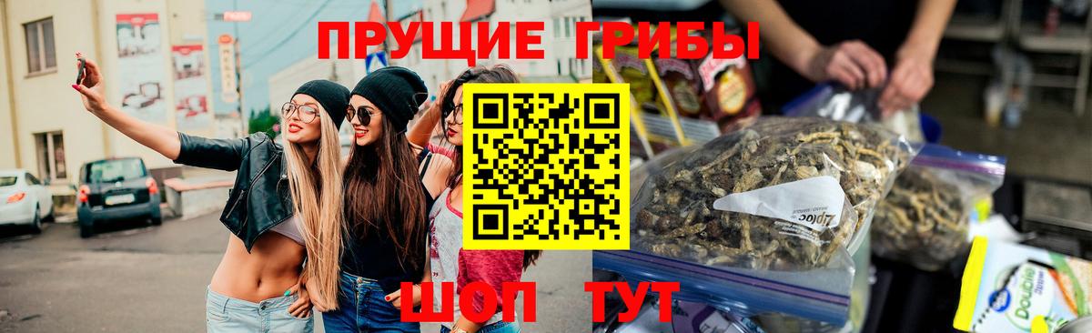 Королёв  Псилоцибиновые грибы ЛСД  Галлюциногенные грибы MAGIC MUSHROOMS  цены   Вход с VPN 